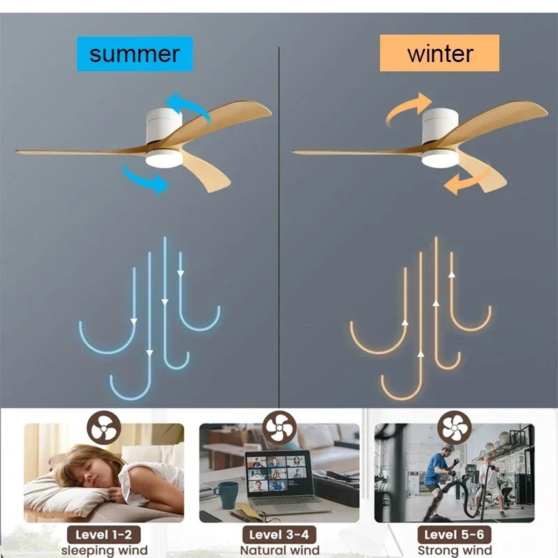 46/56Inch Low Floor Ceiling Fan Light Modern Black ABS Blade DC Remote Control Led Fan Lights Restaurant The bedroom 110V 220V