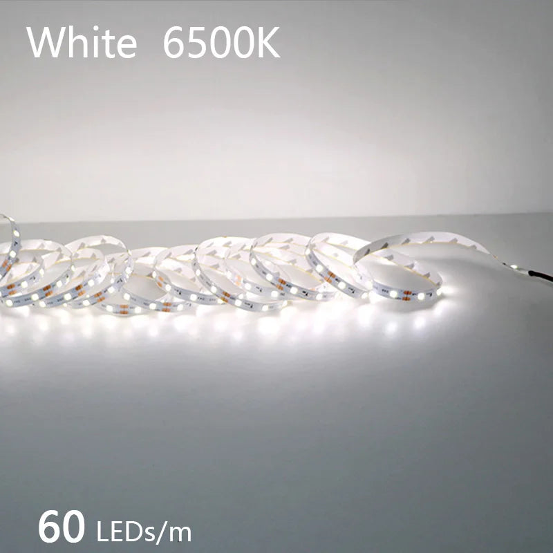 High-Density 2835 LED Strip Light | 5M 300 600 1200 LEDs | DC 12V 24V Tape