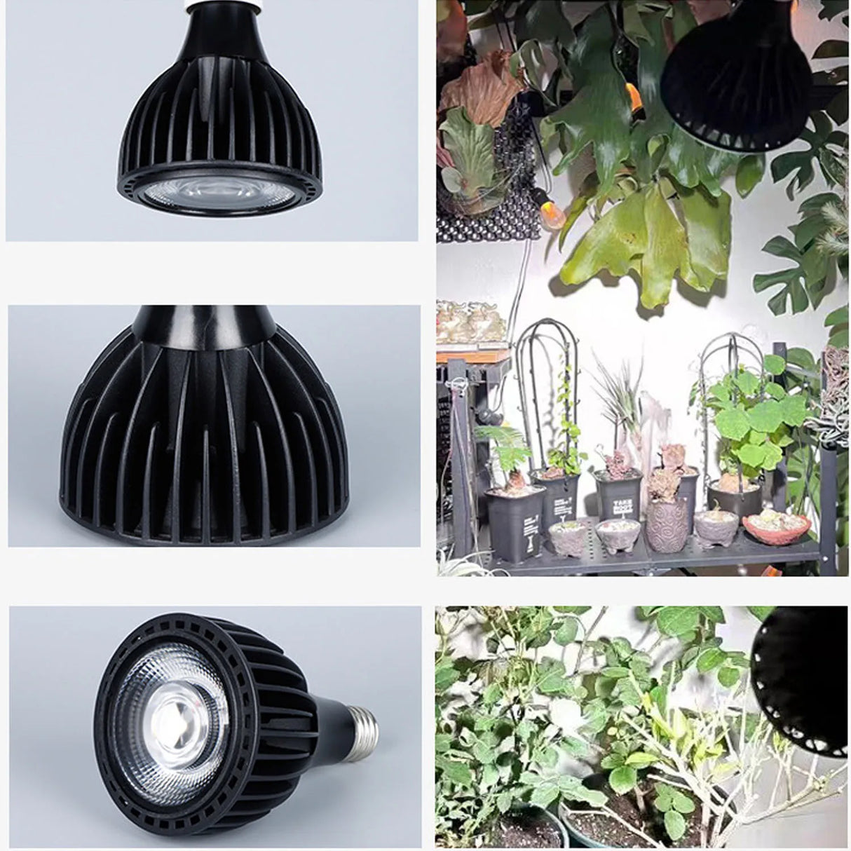 E27 25W 30W Par30 Spotlight  Led Full spectrum plant Grow Light Ra98 plant Lamp AC85-265V