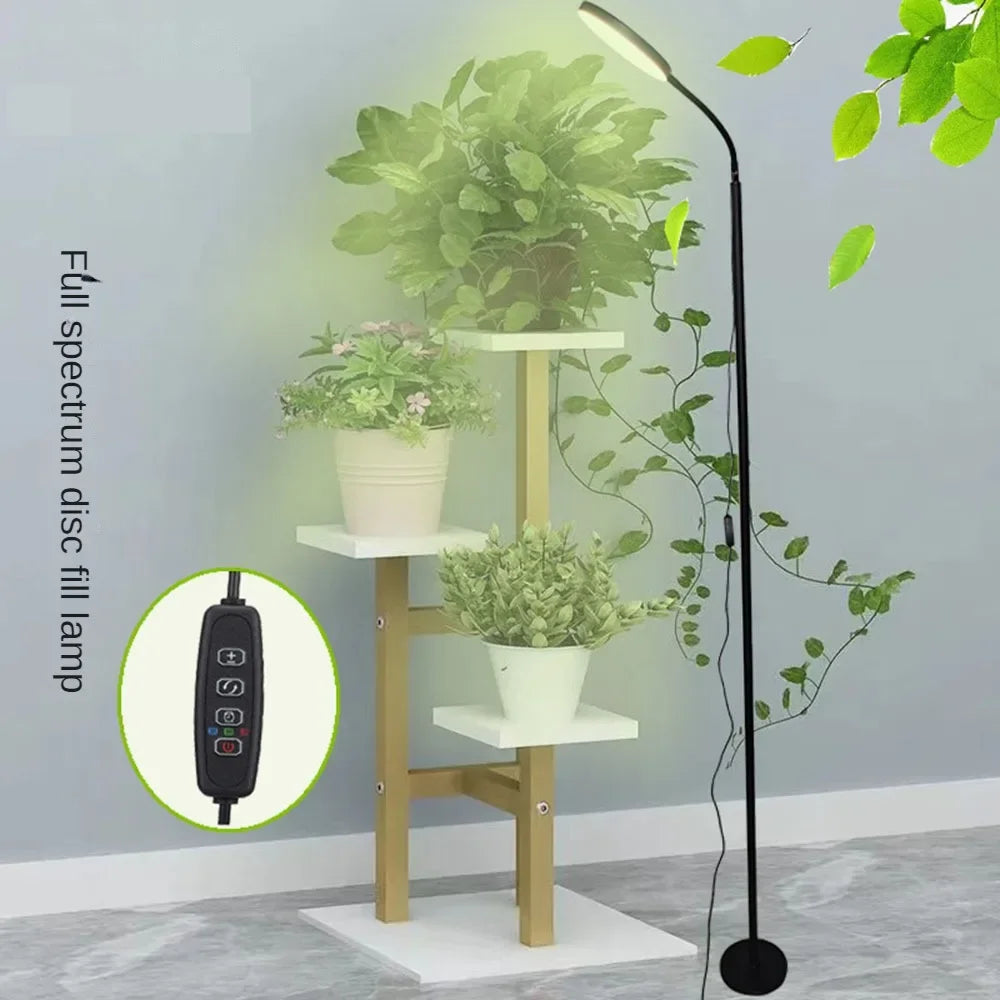 24W Growing Lamp,Floor Plant Light for Indoor Plants,10 Dimmable Brightness,Automatic On/Off Timer,Ideal for Tall Small Plants