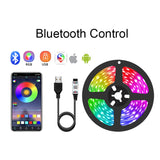 Led Strip Lights Bluetooth Usb Led Strips 5050 Music Sync Rgb Strip 5V Flexible Neon Light Strip For TV Black lights Decoration