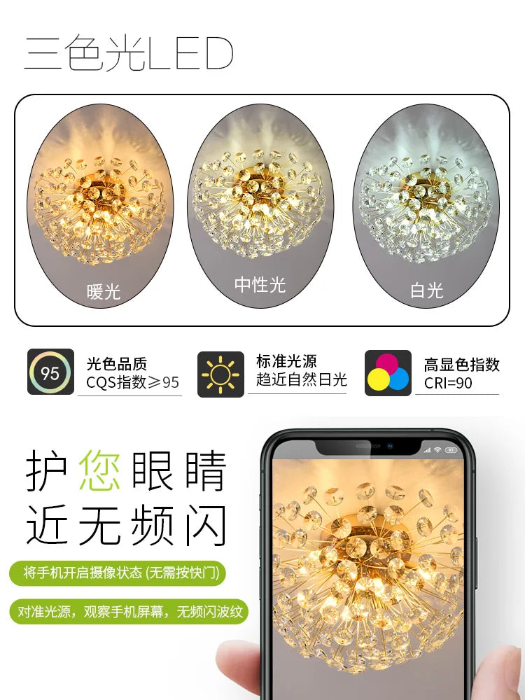 Modern French Dandelion Crystal Ceiling Light Fireball Light French Gold Restaurant Living Room Bedroom Lighting G9LED