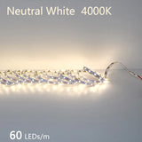High-Density 2835 LED Strip Light | 5M 300 600 1200 LEDs | DC 12V 24V Tape