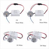 1W /3W LED White/Warm White AC 85-265V Mini Surface Mounted Light Led Downlight Jewelry Cabinet Lamp LED Mini Spotlight Lamp