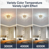 Modern Luxury Living Room Crystal LED chandelier Dandelion Firefly Bedroom Light Lighting Ceiling Pendant Lamp Home Decoration