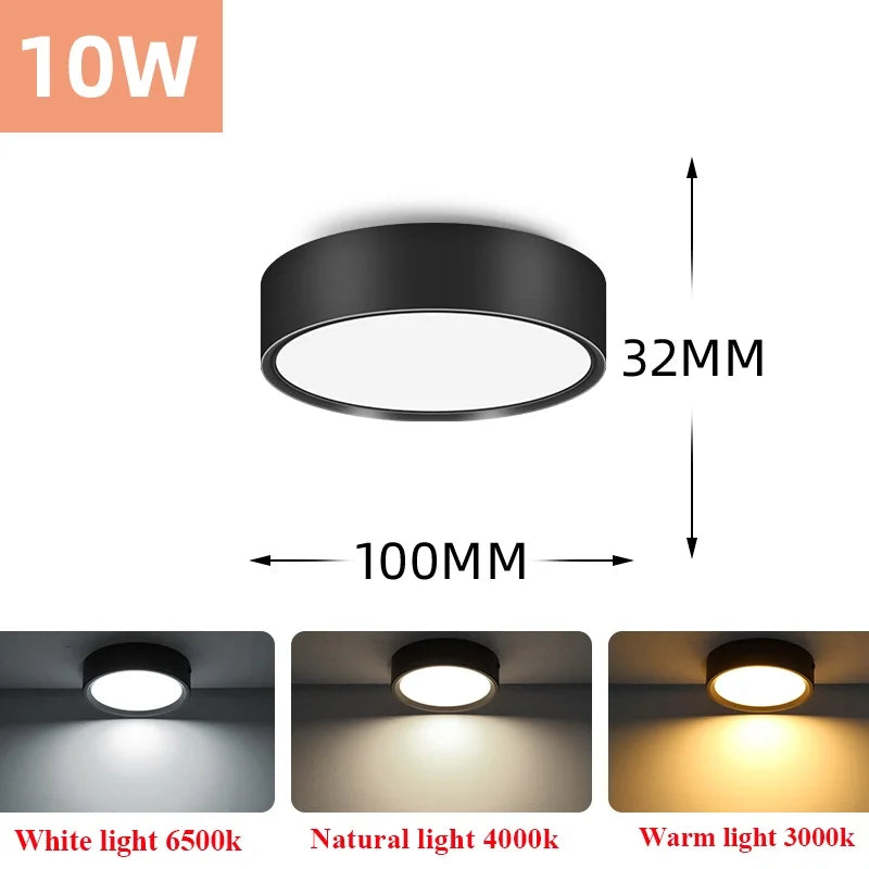 Led Downlight 220V Down Lights Surface Mounted 3/5/10/15/25W Ceiling Lamp For Indoor Living Room Bedroom Kitchen Lighting