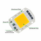 110V 220V LED Chip 10W 20W 30W 50W COB Chip No Need Driver LED Lamp Beads for Flood Light Spotlight Lampada DIY Lighting