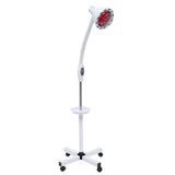 275W Infrared Heat Lamp Near Red with Flexible Arm & Remove Control Standing Lamp for Relieve Joint and Muscle Aches 110V