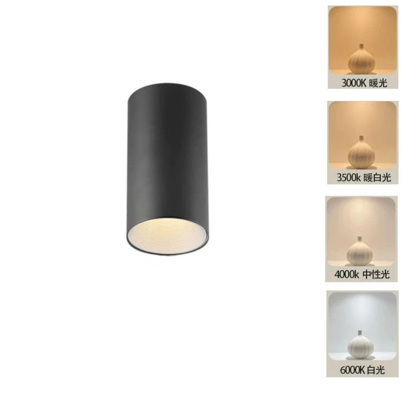 2025 New Surface Mounted Cylindrical LED Downlights Gold Reflector 24W 20W COB Led Ceiling Lamp Spot Lights AC85-260V Bulbs