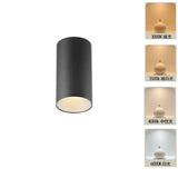2025 New Surface Mounted Cylindrical LED Downlights Gold Reflector 24W 20W COB Led Ceiling Lamp Spot Lights AC85-260V Bulbs