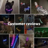 LED Glowing Dog Collar - USB Rechargeable Luminous Night Safety Collar