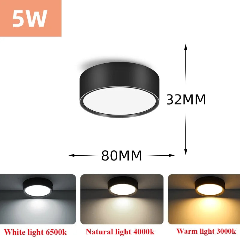 Led Downlight 220V Down Lights Surface Mounted 3/5/10/15/25W Ceiling Lamp For Indoor Living Room Bedroom Kitchen Lighting