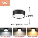 Led Downlight 220V Down Lights Surface Mounted 3/5/10/15/25W Ceiling Lamp For Indoor Living Room Bedroom Kitchen Lighting