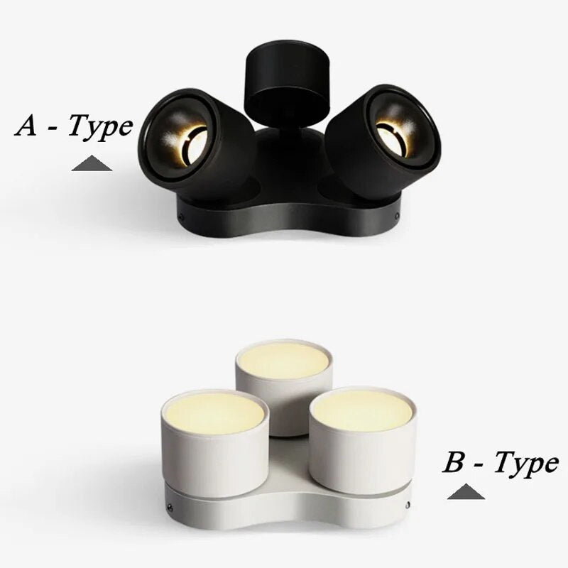 Three-Head Bright Spot Lamp LED Simple Lamp Ceiling Flower Lamp Cloakroom Bedroom Study Individual Creative Ownerless Lamps