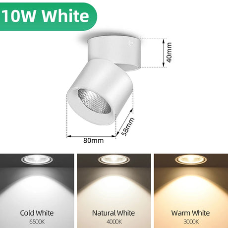 45536442581249|45536442614017|45536442646785|45536442679553