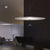 Minimalist Pendant Lights Gold Black Suspension Luminaire Hanging Lamp for Living Room Ring Lights