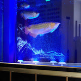 Pool Light with EU/US Plug IP68 Waterproof Small Size White Round 95mm 3/6/10W Underwater RGB Multicolor Swimming Bath Spa Lamp