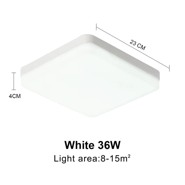 44298821861633|44298821927169|44298821992705|44298822058241