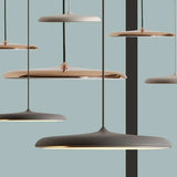 Nordic Designer LED Pendant Lamps Minimalist Decor Round for Table Dining Kitchen Island Chandelier Home Decor Lighting Fixture