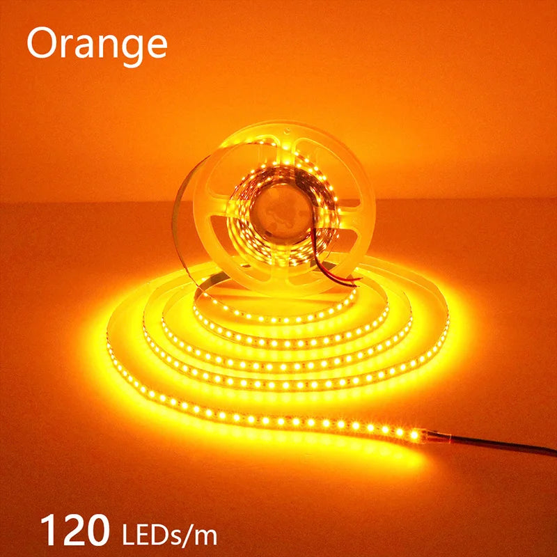 High-Density 2835 LED Strip Light | 5M 300 600 1200 LEDs | DC 12V 24V Tape