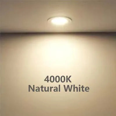 3W Indoor LED Mini Spotlights 12V 24V Ultra Thin Recessed Ceiling Panel Light IP42 Caravan Boat Kitchen Vehicle Camper Downlight