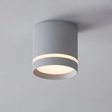 Dimmable Cylinder LED Downlights 12W 20W COB LED Ceiling Spot Lights AC220V Background Lamps Indoor Lighting Colorful Room Luz