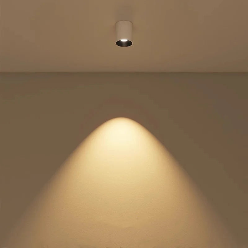 2025 New Surface Mounted Cylindrical LED Downlights Gold Reflector 24W 20W COB Led Ceiling Lamp Spot Lights AC85-260V Bulbs
