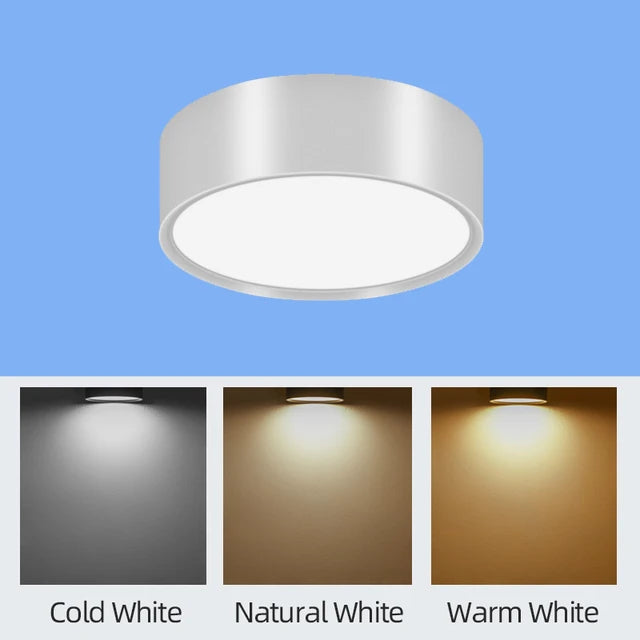 45401445728513|45401445761281|45401445794049|45401445826817|45401445892353|45401445990657|45401446023425|45401446056193|45401446088961|45401446121729|45401446154497|45401446187265|45401446351105|45401446416641|45401446449409