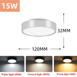 Led Downlight 220V Down Lights Surface Mounted 3/5/10/15/25W Ceiling Lamp For Indoor Living Room Bedroom Kitchen Lighting
