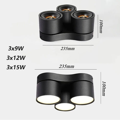 Three-Head Bright Spot Lamp LED Simple Lamp Ceiling Flower Lamp Cloakroom Bedroom Study Individual Creative Ownerless Lamps