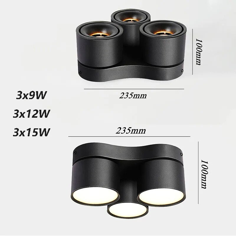 Three-Head Bright Spot Lamp LED Simple Lamp Ceiling Flower Lamp Cloakroom Bedroom Study Individual Creative Ownerless Lamps