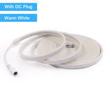 12V/24V Waterproof Flexible LED Neon Strip Light (6x12mm Silicone Rope) - DIY Neon Sign Light with DC Plug / 2-Pin Wire Option