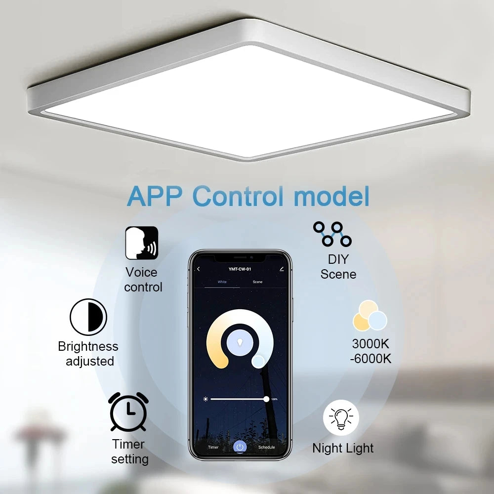 Led Ceiling Lamps Tuya Smart Lights 20inch Lighting Fixture Ultrathin 2.4 cm Led Ceiling Lights for Living Room Balcony Bedroom