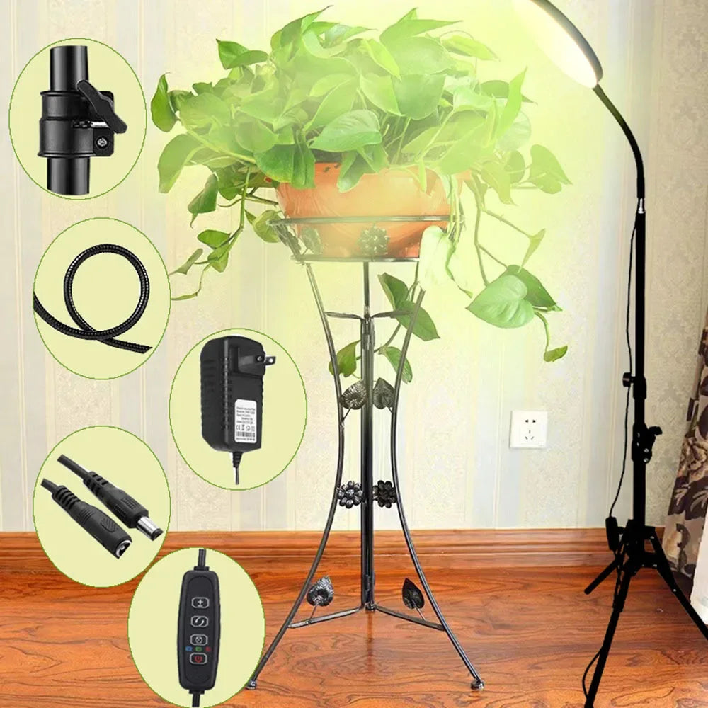 24W Growing Lamp,Floor Plant Light for Indoor Plants,10 Dimmable Brightness,Automatic On/Off Timer,Ideal for Tall Small Plants