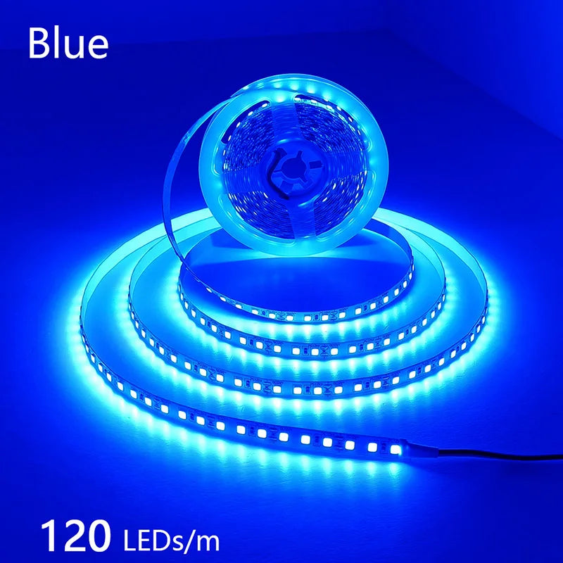 High-Density 2835 LED Strip Light | 5M 300 600 1200 LEDs | DC 12V 24V Tape