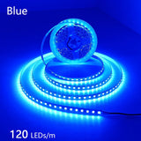High-Density 2835 LED Strip Light | 5M 300 600 1200 LEDs | DC 12V 24V Tape