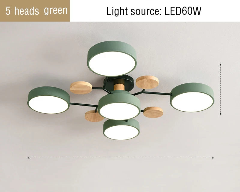 44437424079105|44437424177409