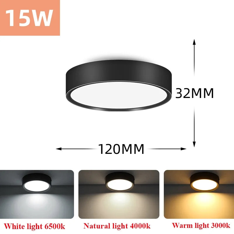 Led Downlight 220V Down Lights Surface Mounted 3/5/10/15/25W Ceiling Lamp For Indoor Living Room Bedroom Kitchen Lighting