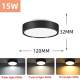 Led Downlight 220V Down Lights Surface Mounted 3/5/10/15/25W Ceiling Lamp For Indoor Living Room Bedroom Kitchen Lighting