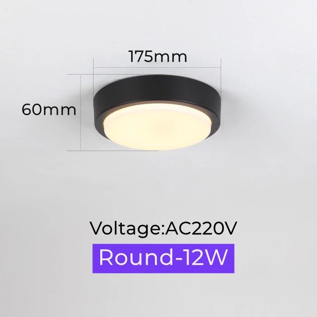 45509277286657|45509277319425|45509277352193|45509277417729