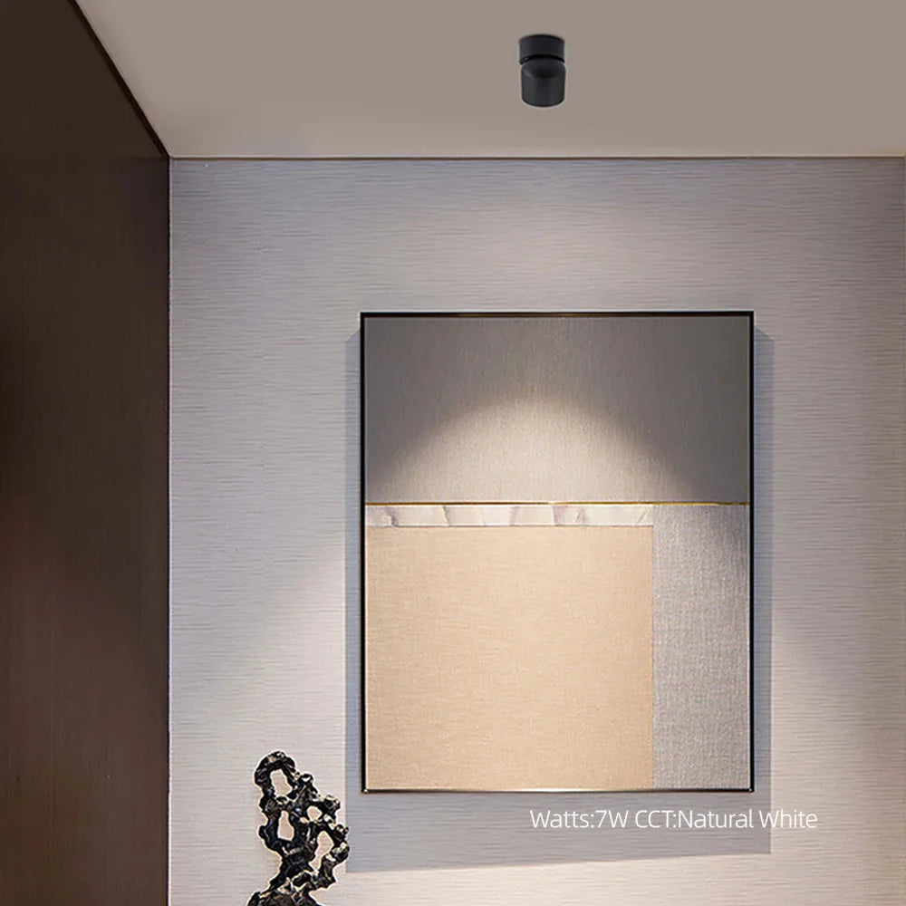 LED Ceiling Spotlight 360° Rotation COB Ceiling Light 7W/9W Surface Mounted Lamp Modern Design for Indoor Lighting