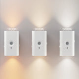 2 Pack Double-head LED Night Light with Motion Sensor Rechargeable Wall Lamp CCT And brightness Adjustable for Hallway Stair