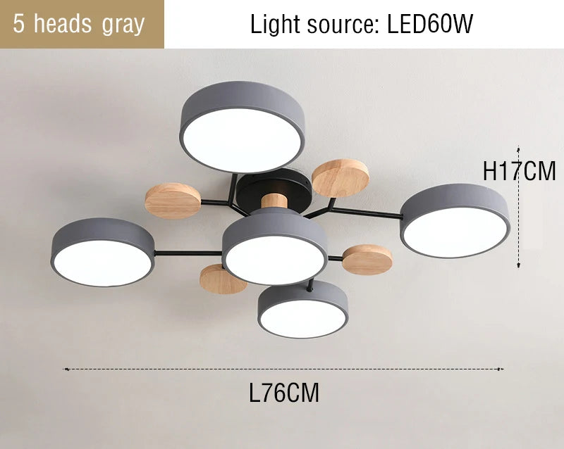 44437424701697|44437424800001