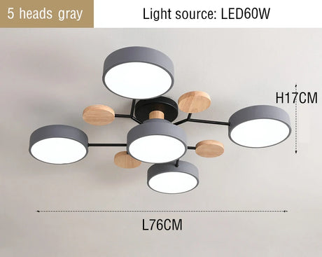 44437424701697|44437424800001