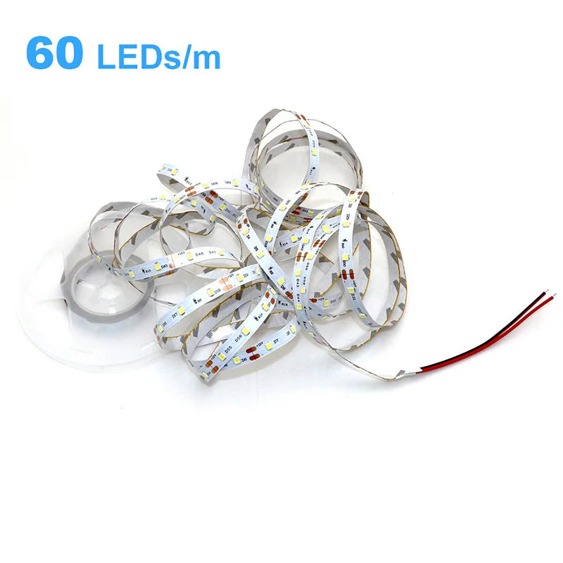 High-Density 2835 LED Strip Light | 5M 300 600 1200 LEDs | DC 12V 24V Tape