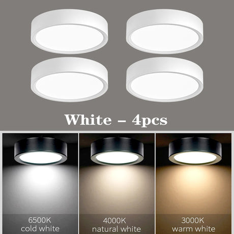 LED Ceiling Light 5W 10W 15W 18W 24W Surface Mounted Downlight Ceiling Lamp for Living Room Kitchen 220V Spotlight Panel Lights