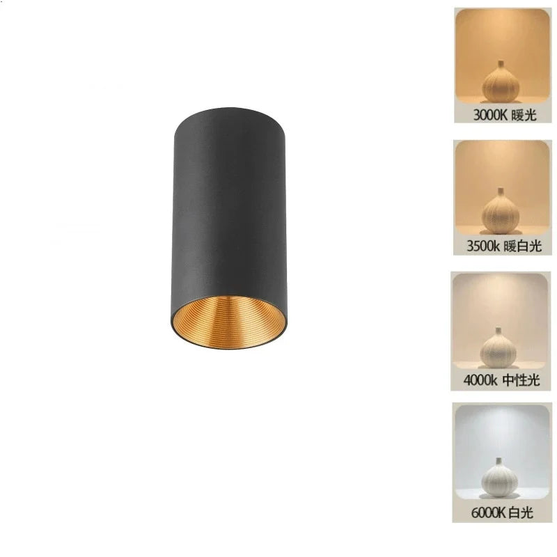 2025 New Surface Mounted Cylindrical LED Downlights Gold Reflector 24W 20W COB Led Ceiling Lamp Spot Lights AC85-260V Bulbs