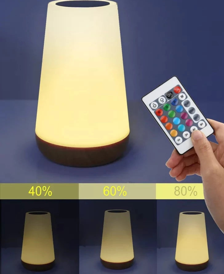 13 Colors Changing Night Light RGB Remote Control Touch Dimmable Lamp Portable Table Bedside Lamps USB Rechargeable Night Lights