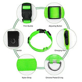 LED Glowing Dog Collar - USB Rechargeable Luminous Night Safety Collar