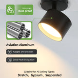 Rotatable GX53 LED Ceiling Spotlight - 350° Swivel Surface Mount Light